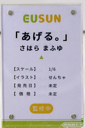 ワンダーフェスティバル2025 [冬]  フィギュア あみあみホビーキャンプ 大漫匠アニメスター 核金重構 EUSUN SIKI ANIM 59