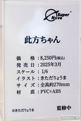 ワンダーフェスティバル2025 [冬]  フィギュア あみあみホビーキャンプ COSMOS SORA Astrum Design ModelWay SuperNova BearPanda Otaku Toys ＣＡＰＣＯＭ ポニーキャニオン13