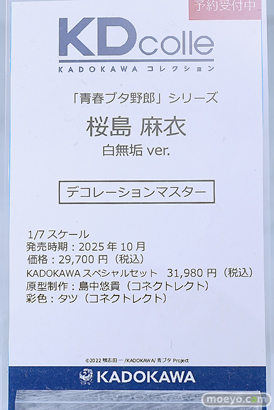 ワンダーフェスティバル2025 [冬]  フィギュア KADOKAWA 電撃ホビーウェブ レム ホロ すーぱーそに子 24