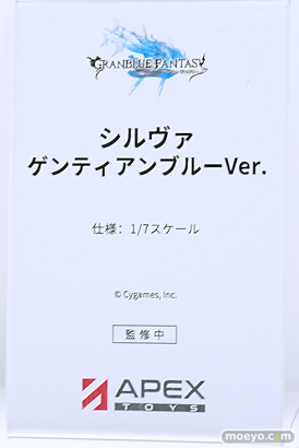 ワンダーフェスティバル2025 [冬]  フィギュア APEXTOYS 不良警察 ヤーデ シルヴァ 39