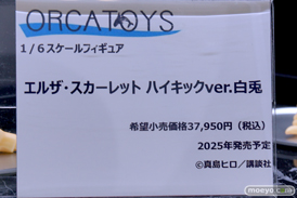 ワンダーフェスティバル2025 [冬]  フィギュア オルカトイズ レベッカ 17