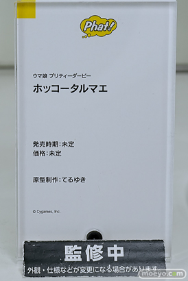 ワンダーフェスティバル2025 [冬]  フィギュア グッドスマイルカンパニー ファット・カンパニー 16