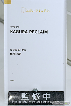 ワンダーフェスティバル2025 [冬]  フィギュア グッドスマイルカンパニーワンホビ39 Solarain SSRFIGURE28