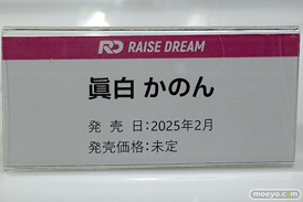 ワンダーフェスティバル2025 [冬]  フィギュア RAISE DREAM 07