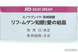 ワンダーフェスティバル2025 [冬]  フィギュア RAISE DREAM 27