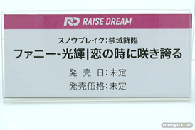 ワンダーフェスティバル2025 [冬]  フィギュア RAISE DREAM 30