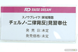 ワンダーフェスティバル2025 [冬]  フィギュア RAISE DREAM 35