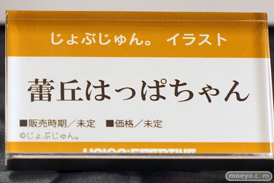 フィギュア 2025 冬 ホビーメーカー合同展示会 ユニオンクリエイティブ メディコス・エンタテインメント マベル ダイキ工業 オルカトイズ プライム1シタジオ ベルファイン フリュー 14