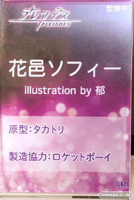 ワンダーフェスティバル2025 [冬]  フィギュア キャストオフ エロ プレアデス 花邑ソフィー illustration by 郁 タカトリ ロケットボーイ 14