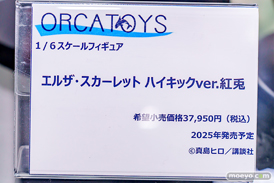 秋葉原の新作フィギュア展示の様子 2025年2月22日 あみあみ  エレイン エウルア エルザ 27