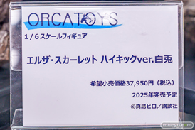 秋葉原の新作フィギュア展示の様子 2025年2月22日 あみあみ  エレイン エウルア エルザ 32