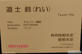 第10回 ネイティブグループ合同展示会（エロホビ） エロ フィギュア キャストオフ  HOTVENUS マジックバレット 21