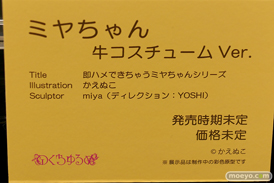 第10回 ネイティブグループ合同展示会（エロホビ） エロ フィギュア キャストオフ のくちゅるぬ その01 16