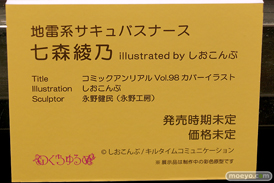 第10回 ネイティブグループ合同展示会（エロホビ） エロ フィギュア キャストオフ のくちゅるぬ その02 10