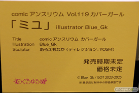 第10回 ネイティブグループ合同展示会（エロホビ） エロ フィギュア キャストオフ のくちゅるぬ その02 28