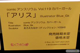 第10回 ネイティブグループ合同展示会（エロホビ） エロ フィギュア キャストオフ のくちゅるぬ その02 32