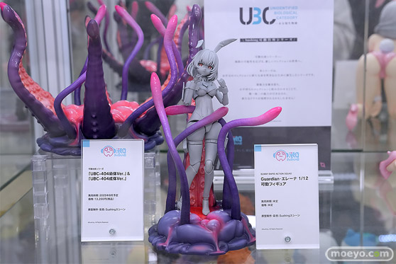 秋葉原の新作フィギュア展示の様子 2025年3月16日 あみあみ 向坂環  25