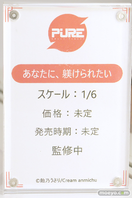 ワンダーフェスティバル2025 [夏]  フィギュア キャストオフ エロ あみあみホビーキャンプSP PURE 対魔忍 61
