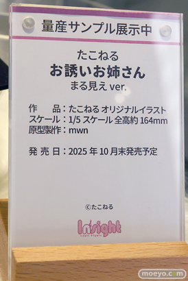 ワンダーフェスティバル2025 [夏]  フィギュア キャストオフ エロ インサイト コノシゲ 25