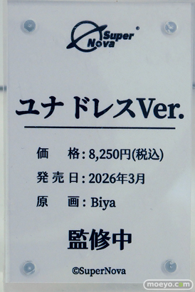 ワンダーフェスティバル2025 [夏]  フィギュア あみあみホビーキャンプ BearPanda 06