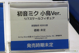ワンダーフェスティバル2025 [夏]  フィギュア 海洋堂 マリー ほのか  14