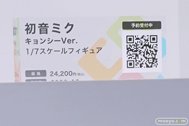 ワンダーフェスティバル2025 [夏]  フィギュア デザインココ イレイナ 17