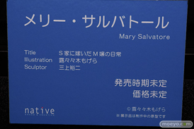 第11回 ネイティブグループ合同展示会（エロホビ）   フィギュア キャストオフ エロ ネイティブ S家に嫁いだM嬢の日常  メリー・サルバトール 露々々木もげら 三上裕二 18