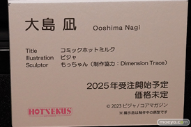 第11回 ネイティブグループ合同展示会（エロホビ）   フィギュア キャストオフ エロ ネイティブ HOTVENUS コミックホットミルク 大島凪 ピジャ もっちゃん 18