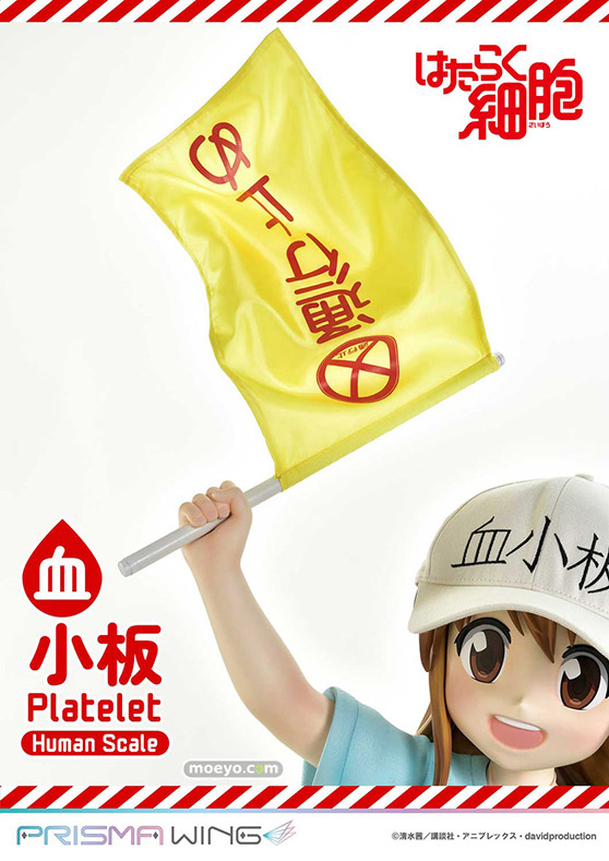 プライム1スタジオ PRIME1STATUE ライフスケールマスターライン はたらく細胞 血小板 ヒューマンスケール 13