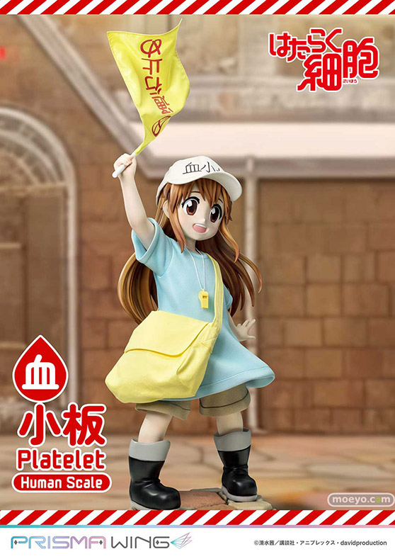 プライム1スタジオ PRIME1STATUE ライフスケールマスターライン はたらく細胞 血小板 ヒューマンスケール 17
