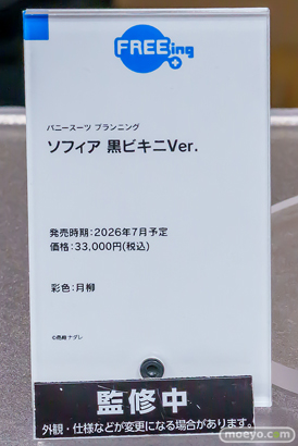 宮沢模型 第47回商売繁盛応援セール フィギュア グッドスマイルカンパニー マックスファクトリー ソフィア メイデン グアム イチェル 12