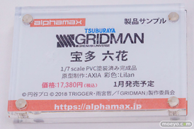 宮沢模型 第47回商売繁盛応援セール フィギュア  アルファマックス 宝多 六花 新条アカネ LILITICS CATALOG illustration by rurudo 11