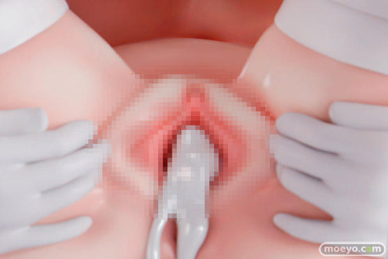 インサイト 肉感少女 性処理ナース 綾坂さん ひらがな ヅカ エロ フィギュア 23