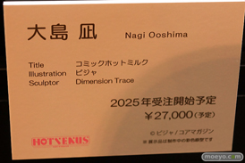 第12回 ネイティブグループ合同展示会（エロホビ） エロ フィギュア キャストオフHOTVENUS るりちゃん 30