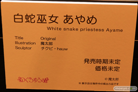 第12回 ネイティブグループ合同展示会（エロホビ） エロ フィギュア キャストオフ のくちゅるぬ 綾目 女月かえで 13