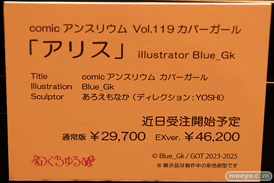 第12回 ネイティブグループ合同展示会（エロホビ） エロ フィギュア キャストオフ のくちゅるぬ 綾目 女月かえで 27