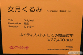 第12回 ネイティブグループ合同展示会（エロホビ） エロ フィギュア キャストオフ  黒田光 綾目 女月かえで 09