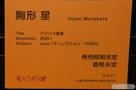 第12回 ネイティブグループ合同展示会（エロホビ） エロ フィギュア キャストオフ  黒田光 綾目 女月かえで 14