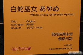 第12回 ネイティブグループ合同展示会（エロホビ） エロ フィギュア キャストオフ  黒田光 綾目 女月かえで 18