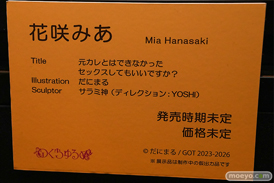 第12回 ネイティブグループ合同展示会（エロホビ） エロ フィギュア キャストオフ  黒田光 綾目 女月かえで 26