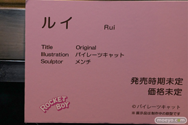 第12回 ネイティブグループ合同展示会（エロホビ） エロ フィギュア キャストオフ   るりちゃん クヌム ルイ 34