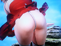 巫女さんがお尻丸出しで宙を舞う事案が発生 「DEAD OR ALIVE 5 Ultimate」