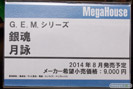 宮沢模型 第33回 商売繁盛セール メガハウス　G.E.M.シリーズ 銀魂 月詠　07