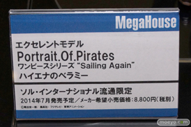 宮沢模型 第33回 商売繁盛セール メガハウス　Portrait.Of.Pirates ワンピース Sailing Again ハイエナのベラミー　02