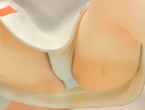 フリーイング「プラスティック・メモリーズ アイラ」 彩色サンプルがボークスホビー天国で展示！