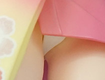 ディフォルメなのに素晴らしい色気！ファットカンパニー新作フィギュア「朧村正 パルフォム 百姫」彩色サンプルがアキバで展示！