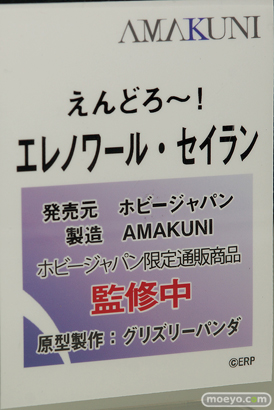 メガホビEXPO 2018 Autumn フィギュア　ホビージャパン 10