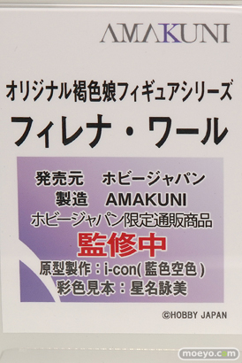 ホビージャパン オリジナル褐色娘フィギュアシリーズ フィレナ・ワール i-con 星名詠美 14