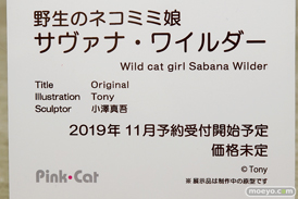 Pink・Cat 野生のネコミミ娘 サヴァナ・ワイルダー Tony 小澤真吾 エロ キャストオフ フィギュア  14