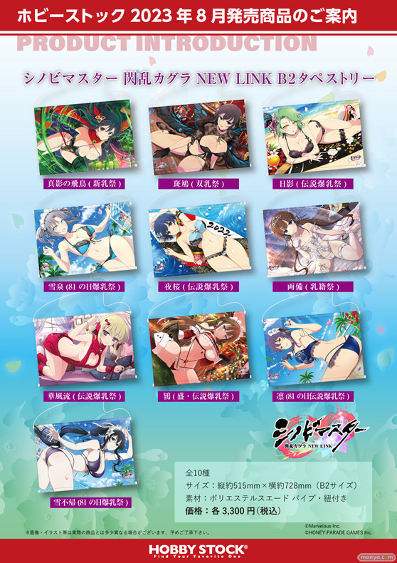 株式会社ホビーストック企画商品 『シノビマスター 閃乱カグラ NEW LINK』 B2タペストリー、ビジュアルアクリルプレート、アクリルフィギュア 01